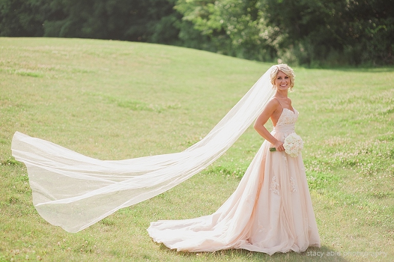 The Historic Ambassador House and Heritage Gardens in Fishers Wedding