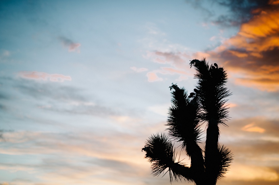 joshua tree destination wedding photographer