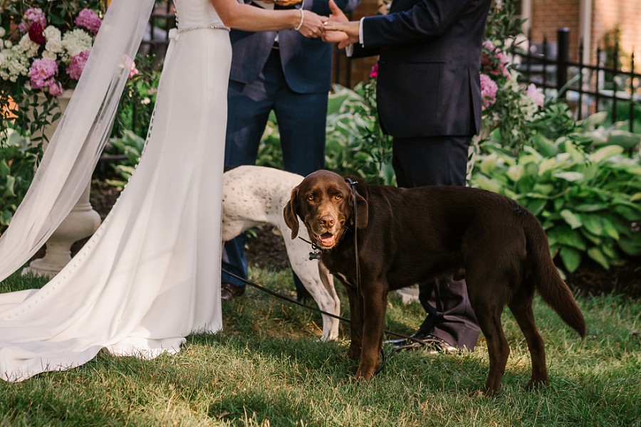 indianapolis-backyard-intimate-wedding-photography